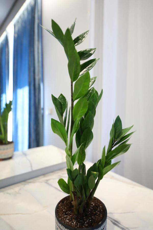Ulcas Guest Huse Bed & Breakfast Vlore Exterior photo